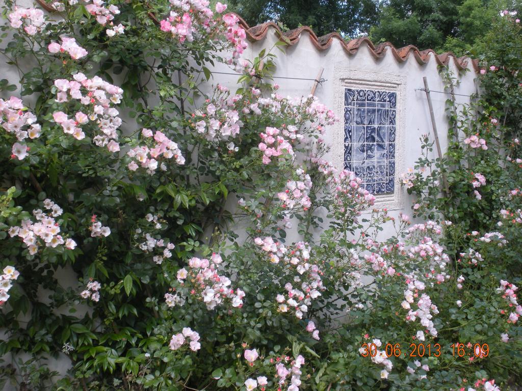 Villa Moulin De Larcy Ribérac Exterior foto
